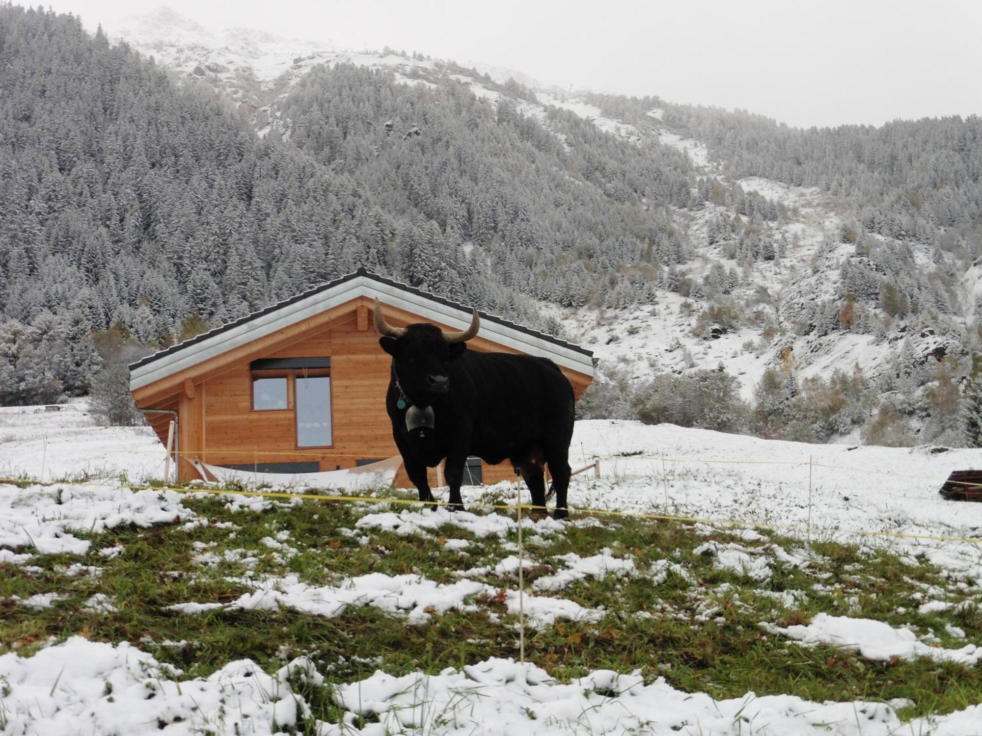La Cle Des Champs Acomodação com café da manhã Hérémence Exterior foto